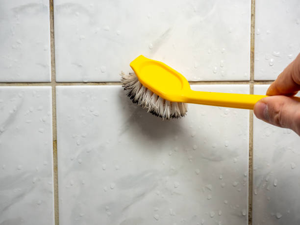 Best Attic Mold Removal  in Walbridge, OH
